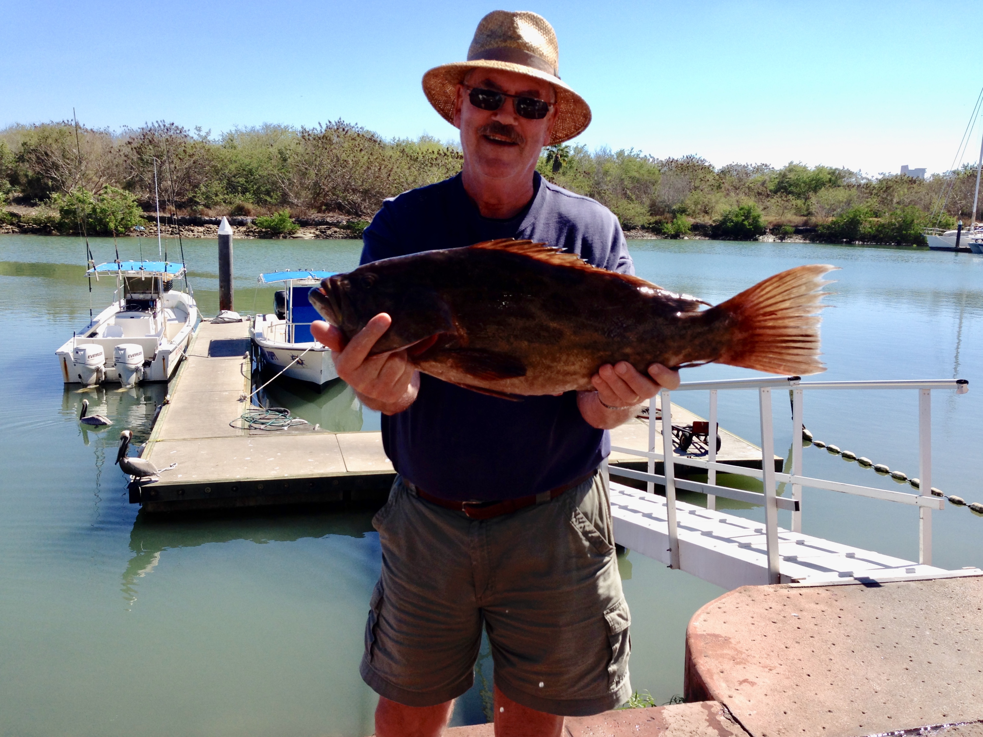 Beach Vacation Condo Mexico: Where Comfort Meets Paradise